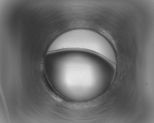 X0000069840017200605191019