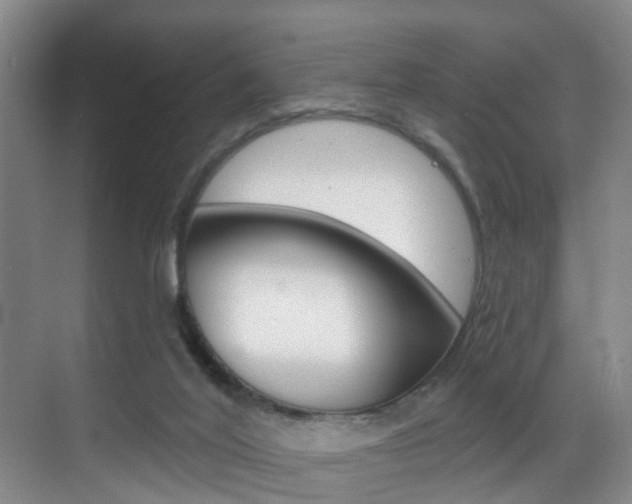 X0000069840020200605191019