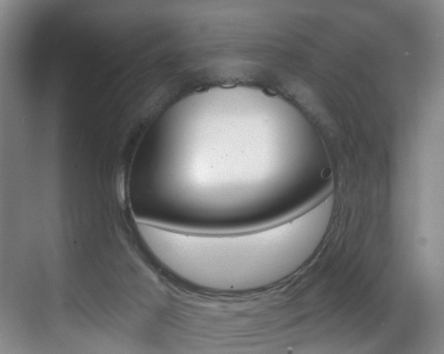 X0000069840021200605191019