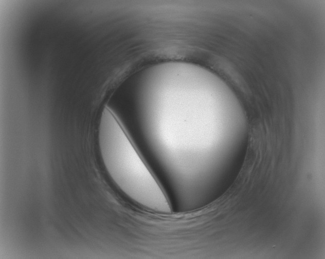 X0000069840023200605191019