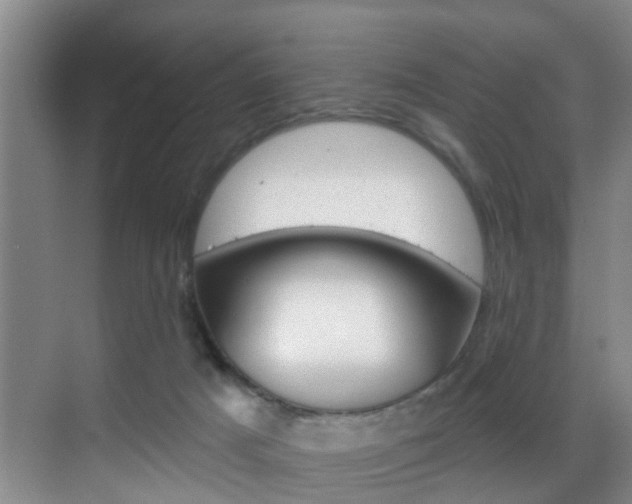 X0000069840025200605191019