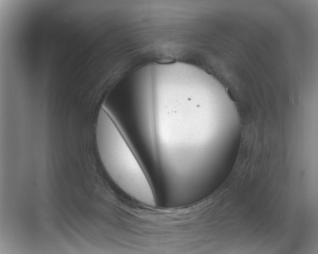 X0000069840027200605191019