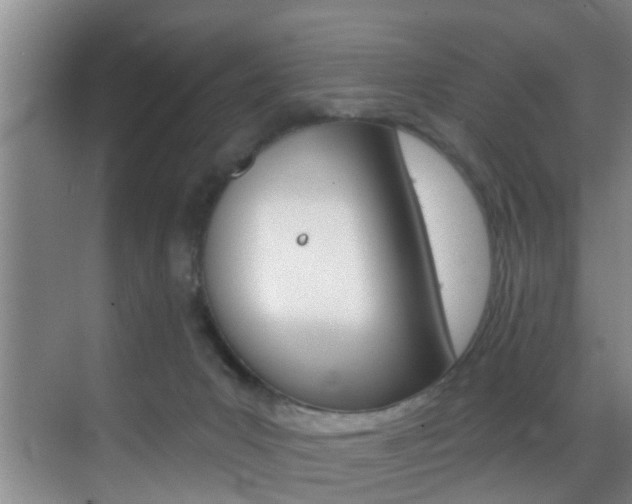 X0000069840031200605191019