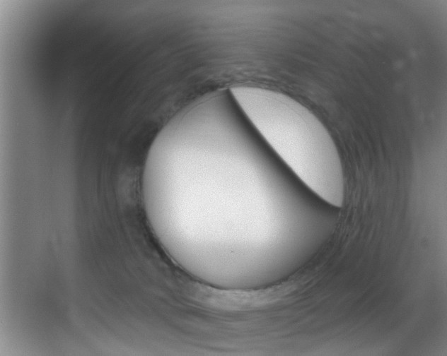 X0000069840034200605191019