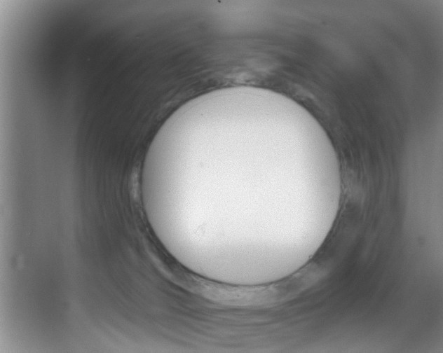 X0000069840036200605191019