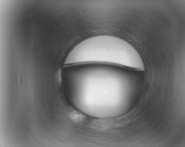 X0000069840041200605191019