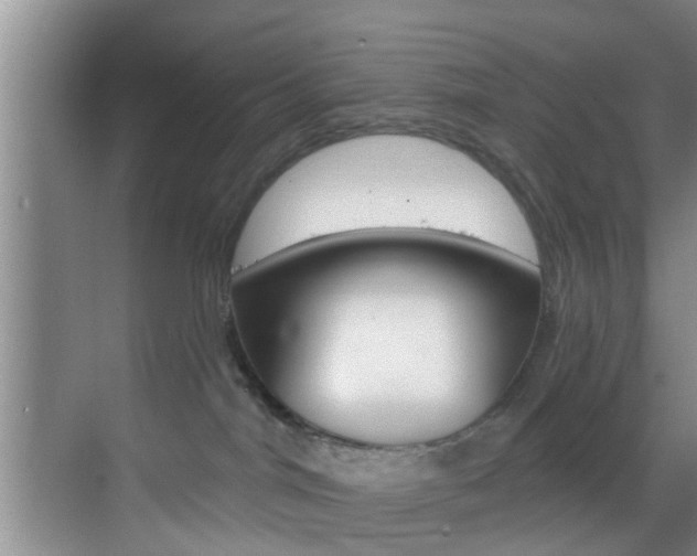 X0000069840044200605191019