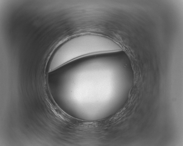 X0000069840050200605191018