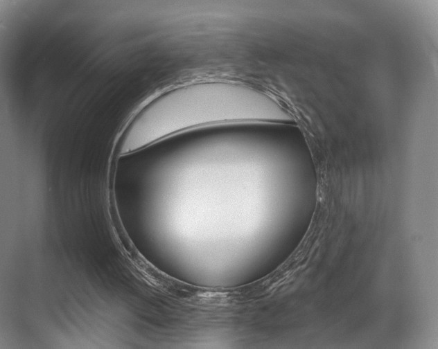 X0000069840052200605191018
