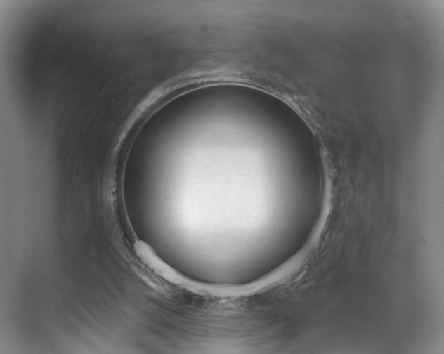 X0000069840056200605191018