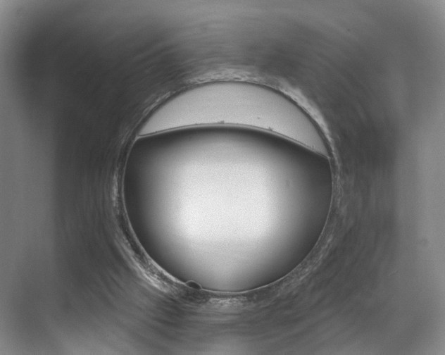 X0000069840057200605191018