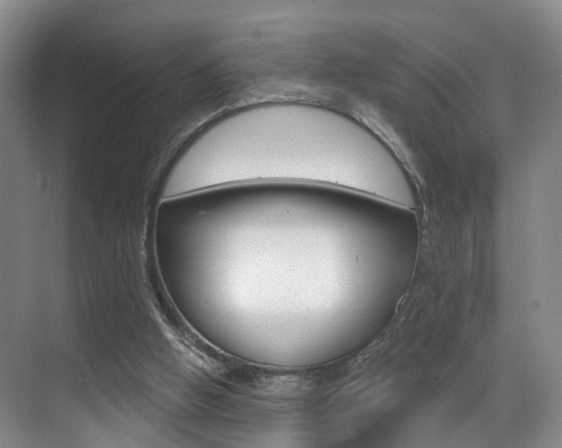 X0000069840058200605191018
