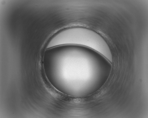 X0000069840064200605191018