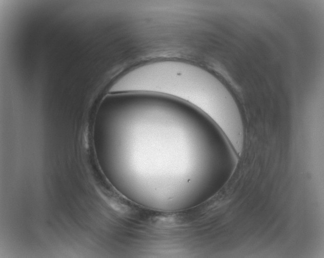 X0000069840068200605191018