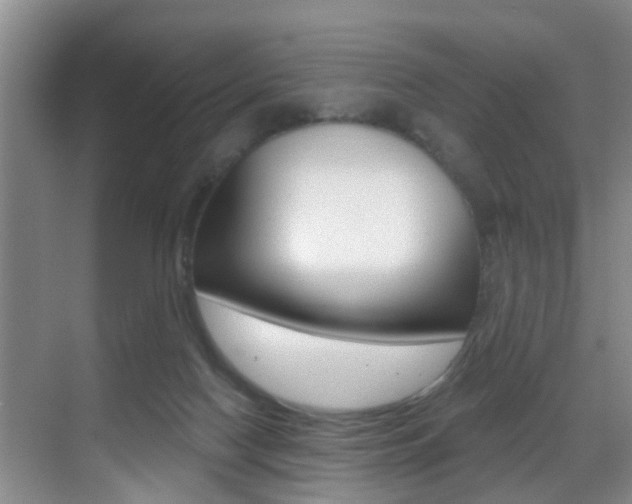X0000069840074200605191018