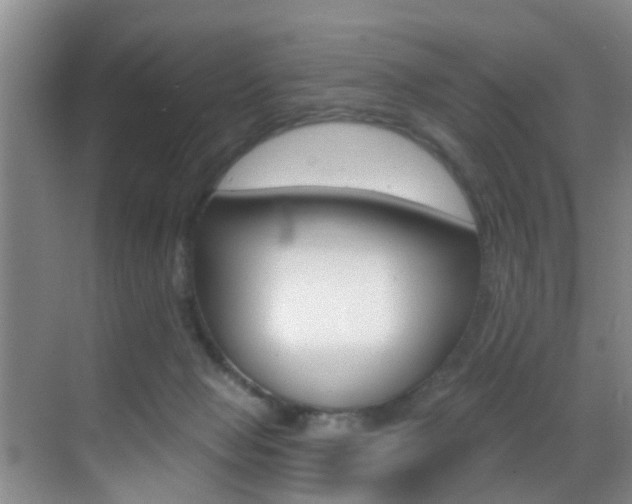 X0000069840077200605191019