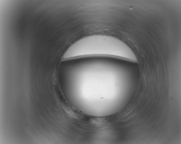 X0000069840079200605191019