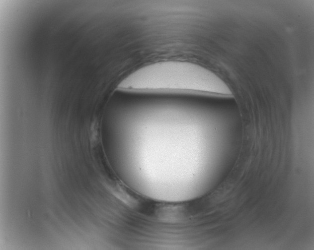 X0000069840081200605191019