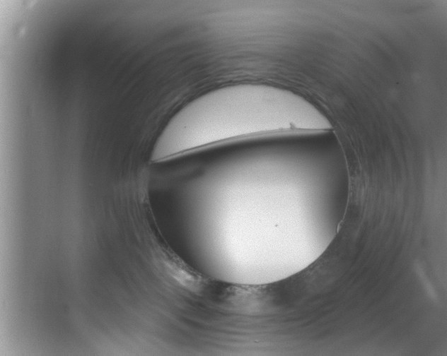 X0000069840093200605191019