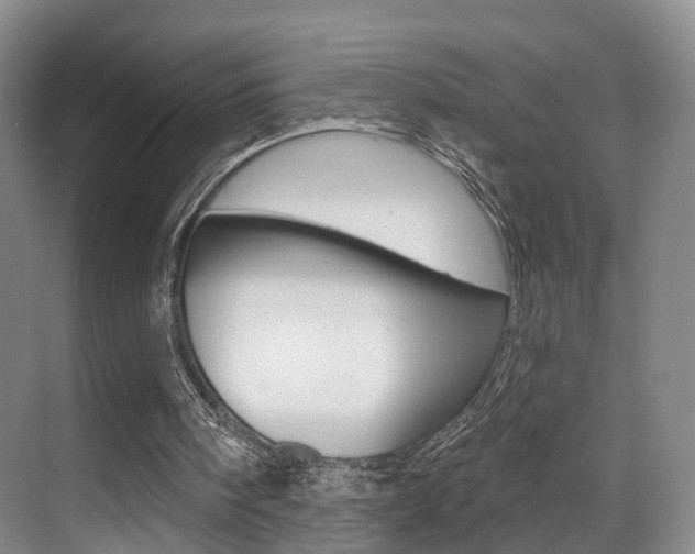 X0000069840098200605191018