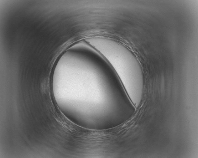 X0000069840099200605191018