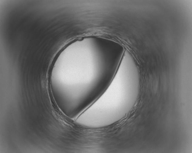 X0000069840100200605191018