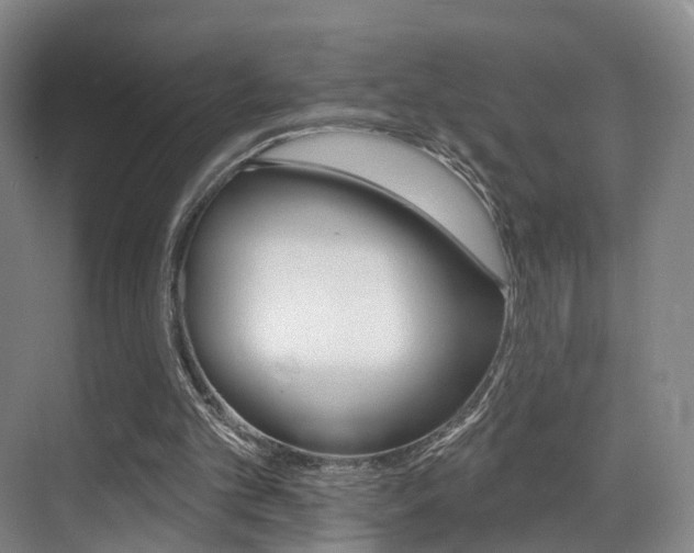 X0000069840101200605191018