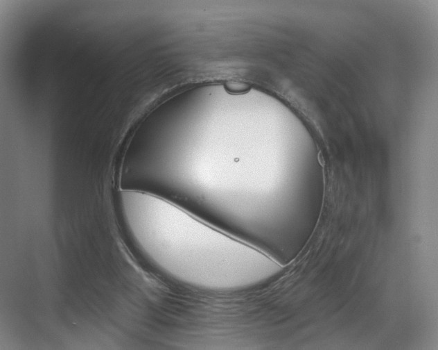 X0000069840107200605191018