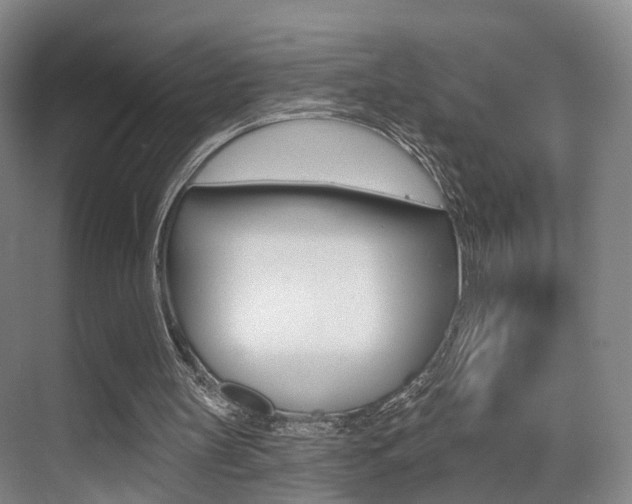 X0000069840147200605191016