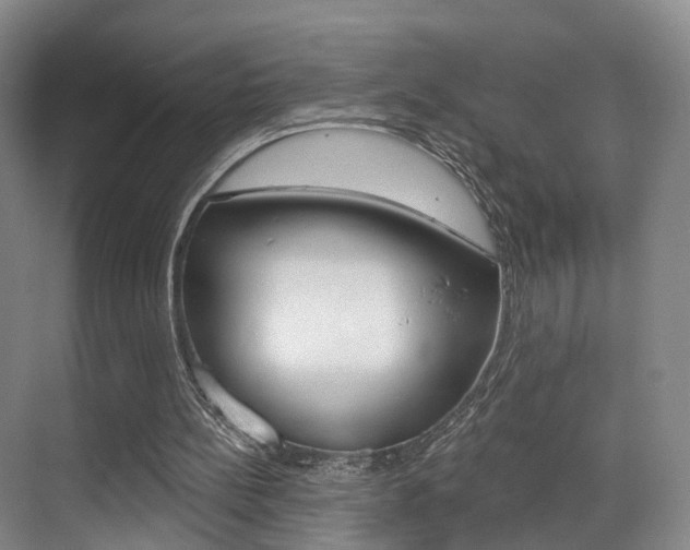 X0000069840148200605191016