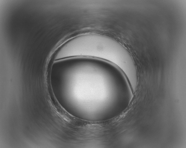 X0000069840150200605191016
