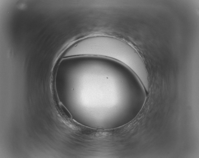 X0000069840152200605191017