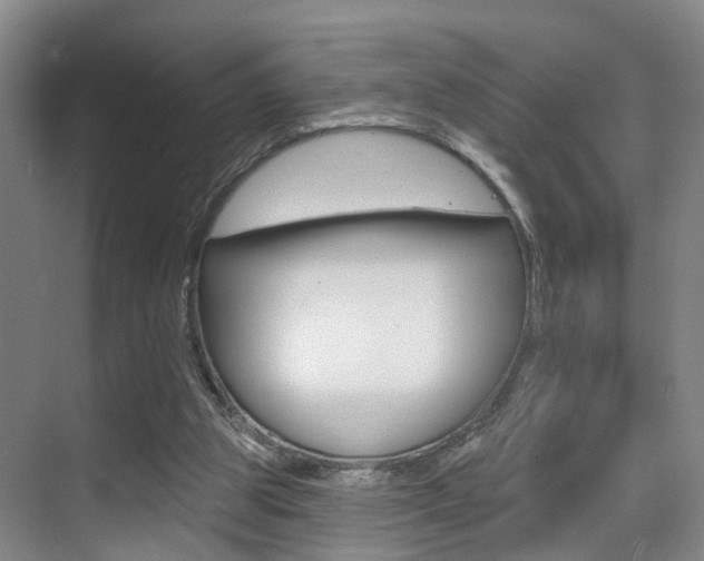 X0000069840153200605191017