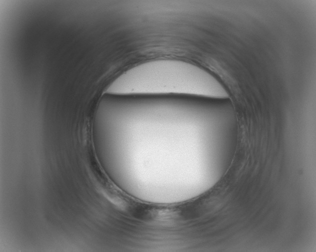 X0000069840165200605191017