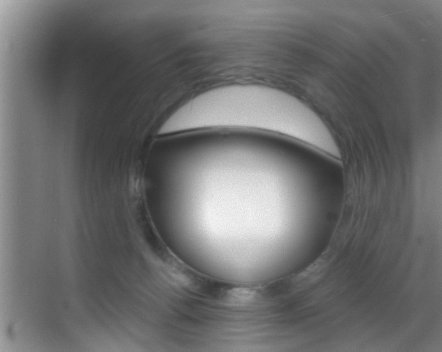 X0000069840176200605191017