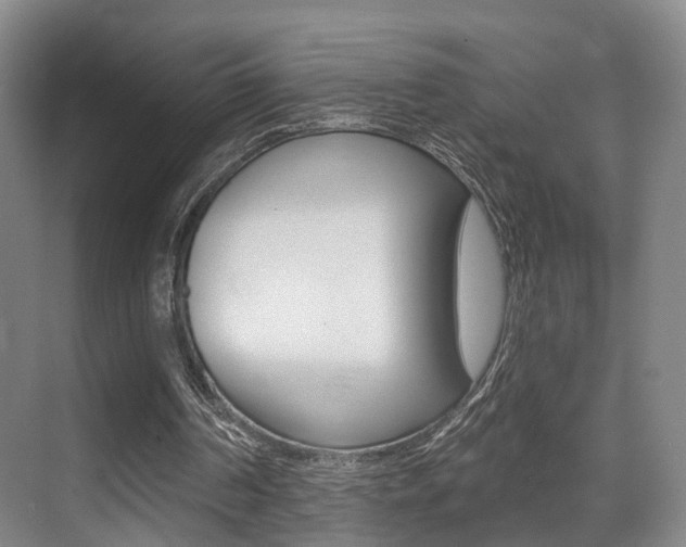 X0000069840194200605191016
