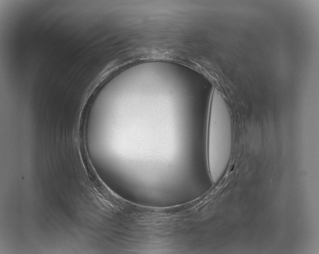 X0000069840195200605191016