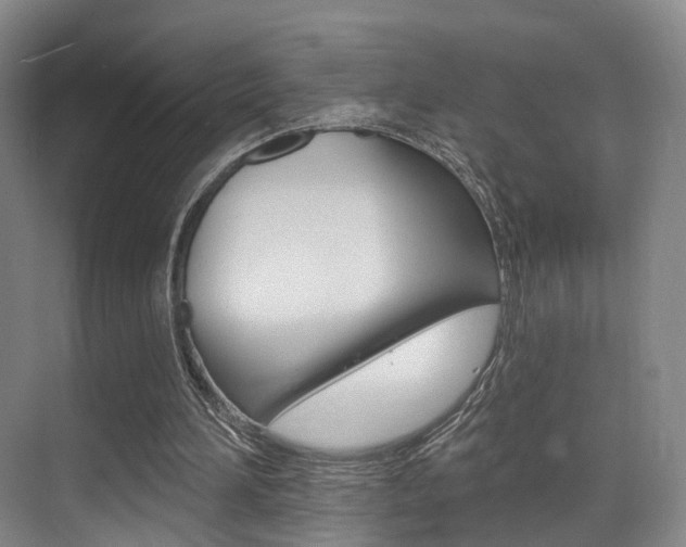 X0000069840196200605191016