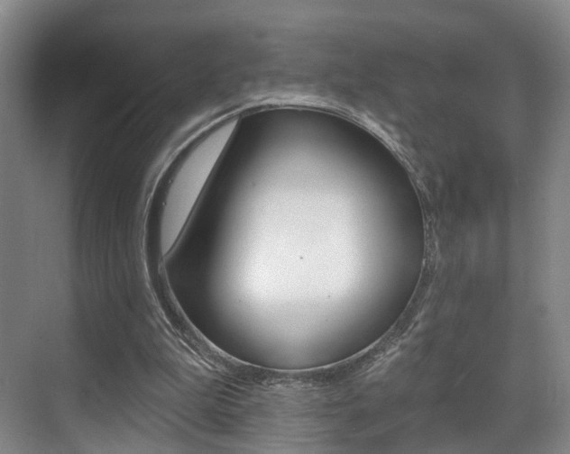 X0000069840199200605191016