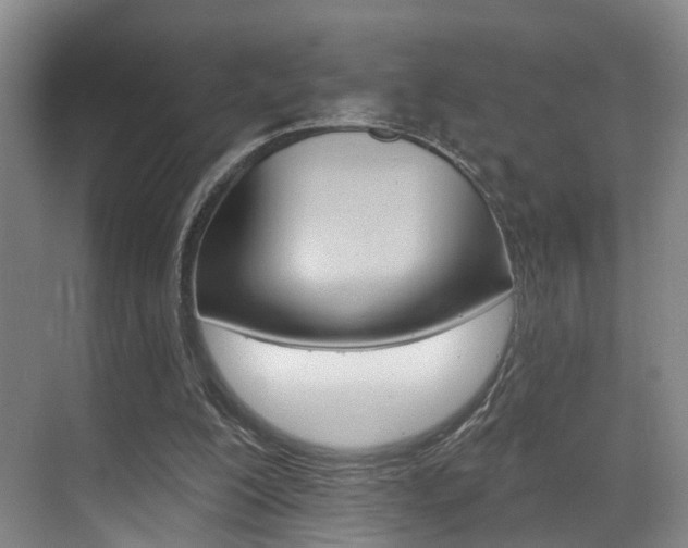 X0000069840200200605191016