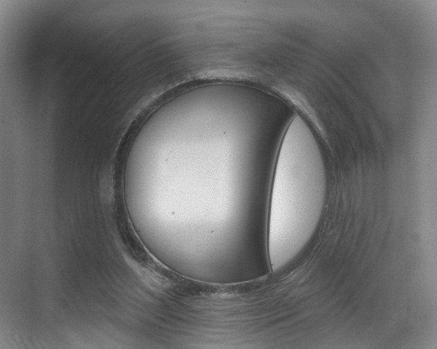X0000069840204200605191016