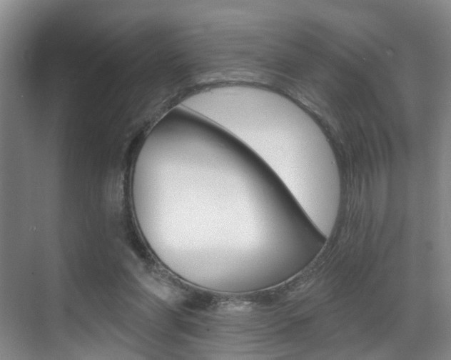 X0000069840206200605191016