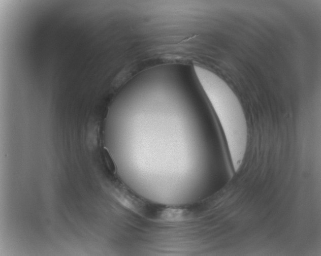 X0000069840227200605191016