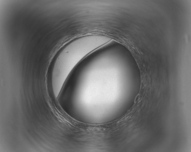 X0000069840242200605191015