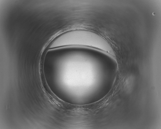 X0000069840244200605191015