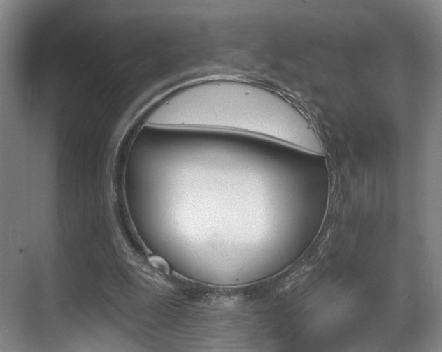 X0000069840247200605191015