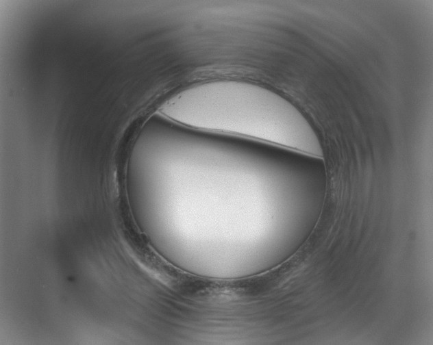 X0000069840254200605191015