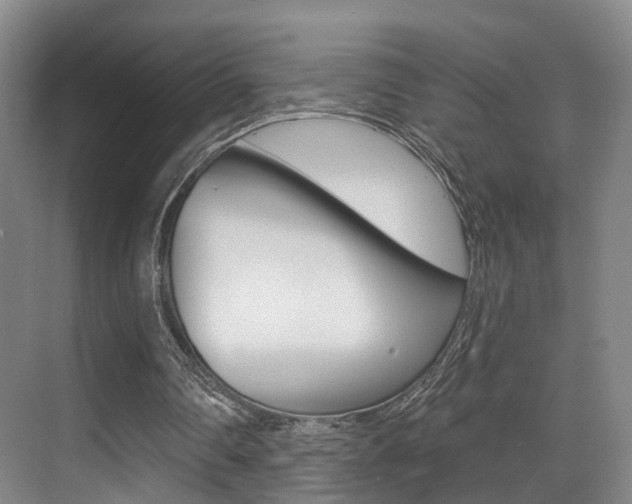 X0000069840290200605191015
