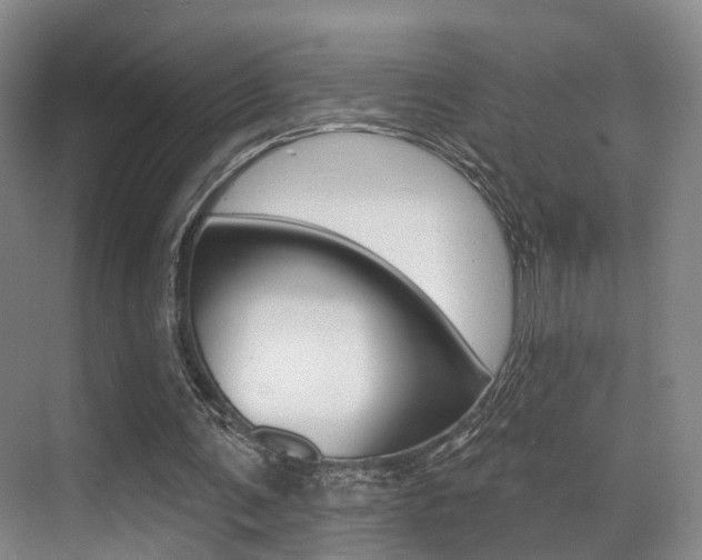 X0000069840291200605191015
