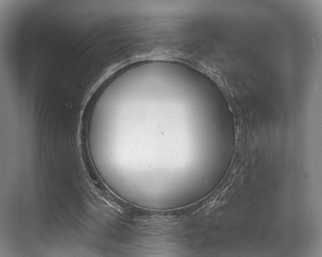 X0000069840292200605191015